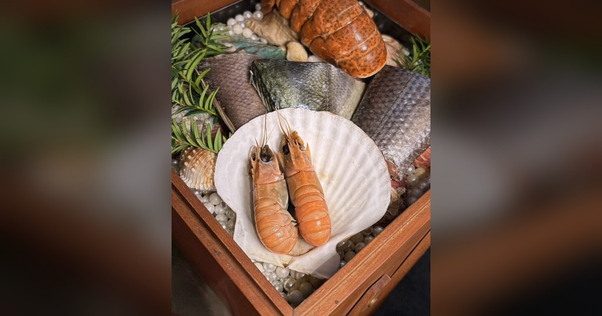시청 맛집 — 우아라 광화문점 쇼잉