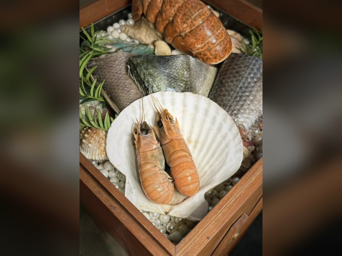 덕수궁 한우 오마카세 — 프라이빗 룸 한우 다이닝